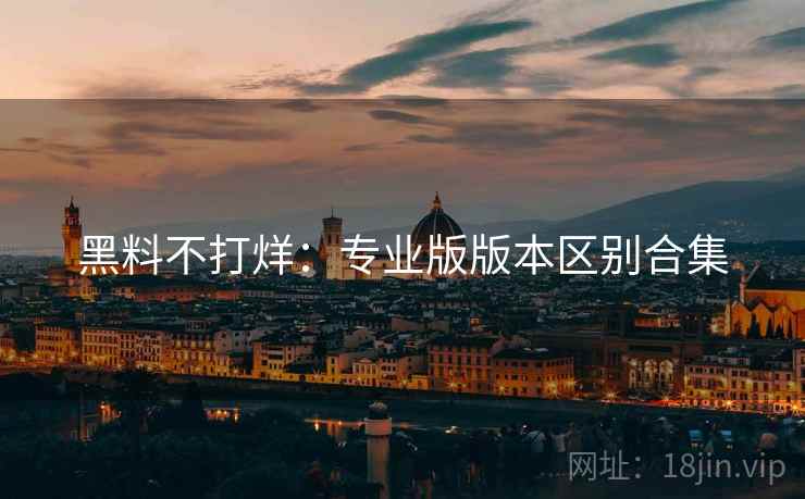 黑料不打烊：专业版版本区别合集