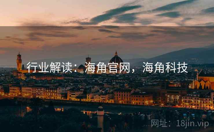 行业解读：海角官网，海角科技